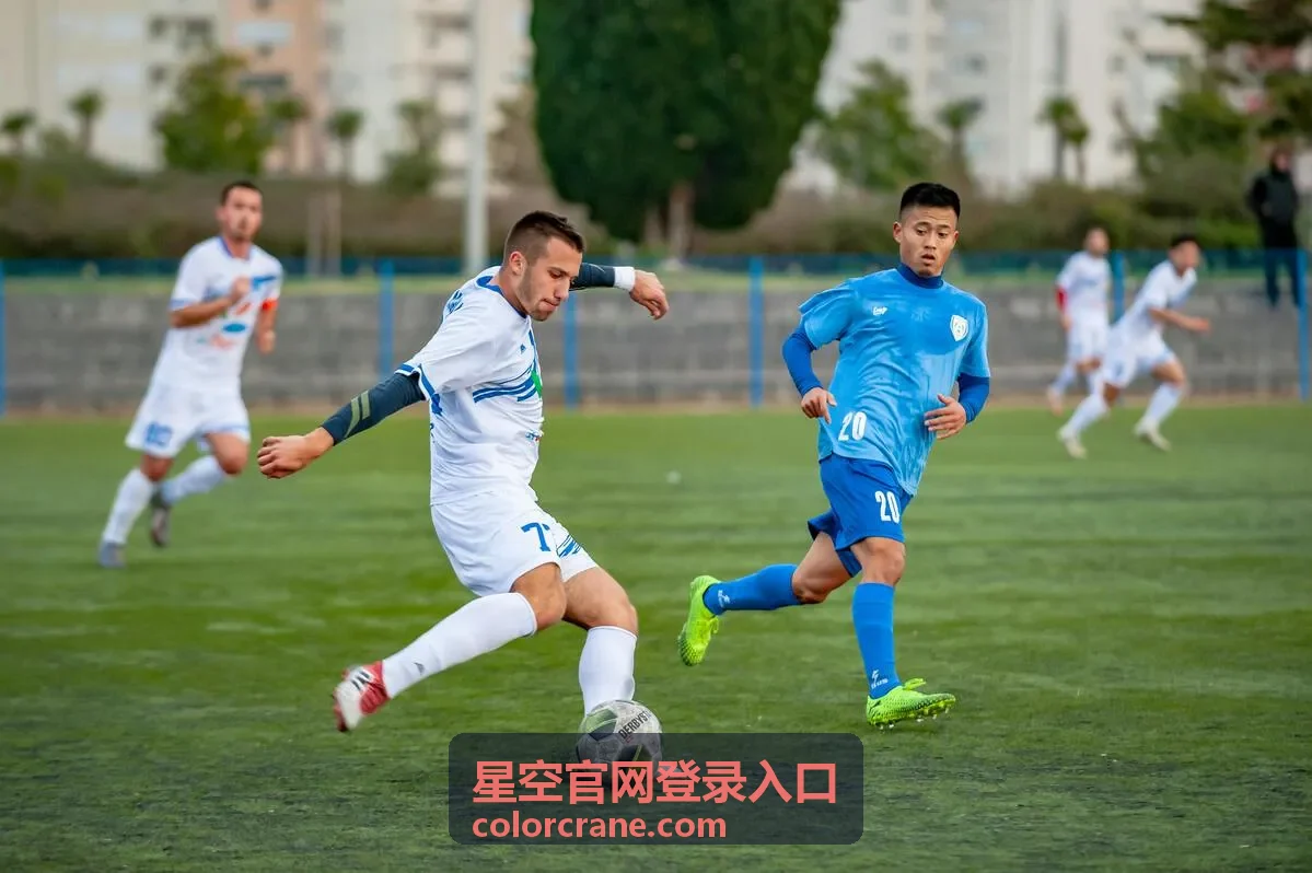 星空官网登录入口首页整体说明封面